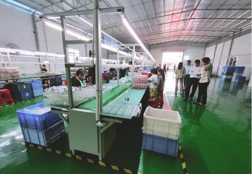 砥砺奋进启新程，乡村振兴谋新篇——浛洸镇张陂村玩具加工厂隆重开业